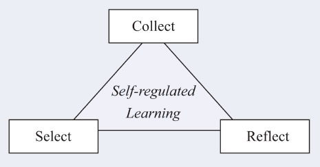 Completion of interactive activities and reflection on personal learning and capacity