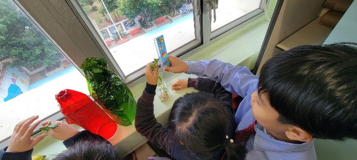 Students recording plant growth under different coloured covers