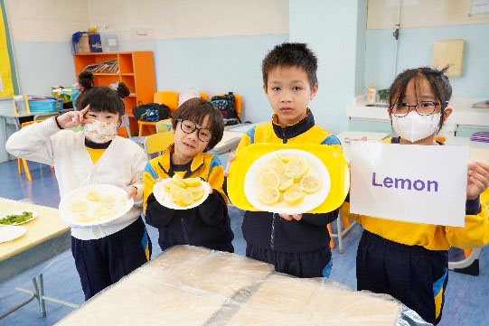 Students cutting open real fruits to learn about their seeds