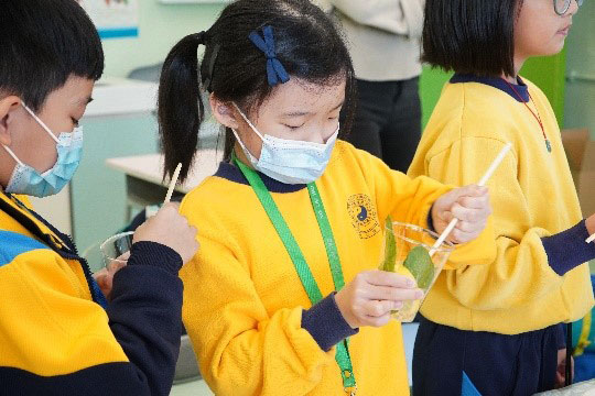 Students making drinks with fruits and leaves