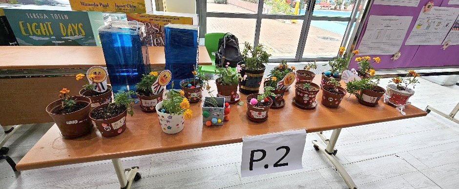 Display of students' plants in their decorated pots