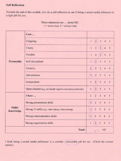 Student work excerpt B:
A self-reflection tool used to prompt students to consider own suitability for the job (SMI)
