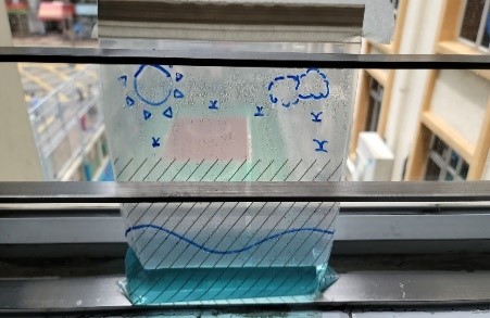 Deducing    the negative consequences of water pollution from the experiment