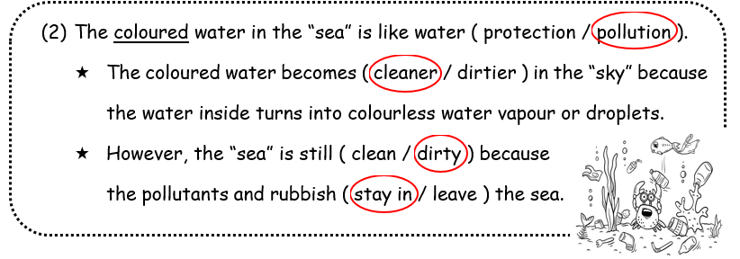 Deducing    the negative consequences of water pollution from the experiment