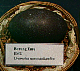 emu egg.JPG