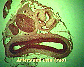 (artery and vein) artery & vein2.JPG