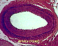 (artery) artery2.JPG