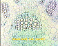 (leaf of dicotyledonous plant) Dicot leaf19.JPG