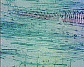 (leaf of dicotyledonous plant) Dicot leaf23.JPG