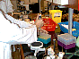 Using micro-pipette DSC00014.JPG