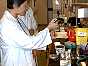 Using a micro-pipette DSC00015.JPG