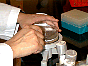 Spread plate using a turntable DSC00017.JPG